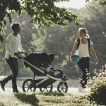 Coche thule urban glide 2 double black6